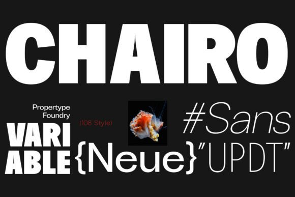 Chairo Neue Font: Where Bold Clarity Meets Design Flexibility