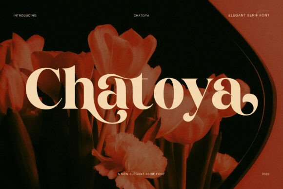 Chatoya Font: Where Elegance, Warmth, and Readability Meet